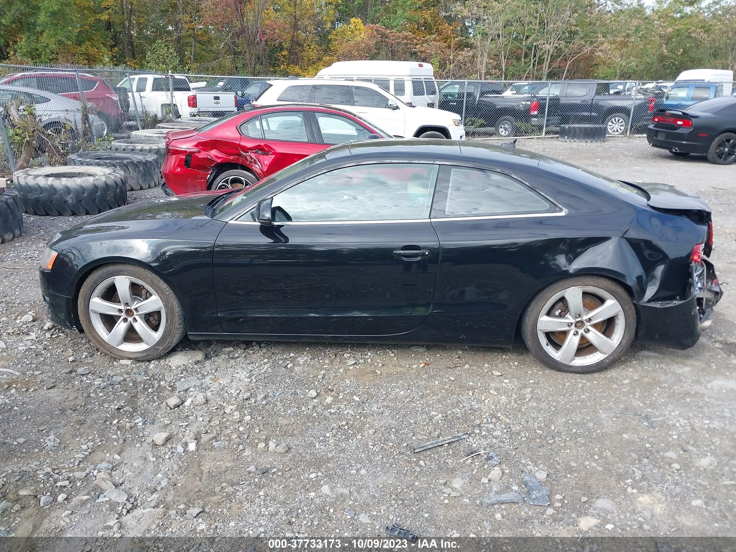 Photo 13 VIN: WAUDK78T69A032684 - AUDI A5 