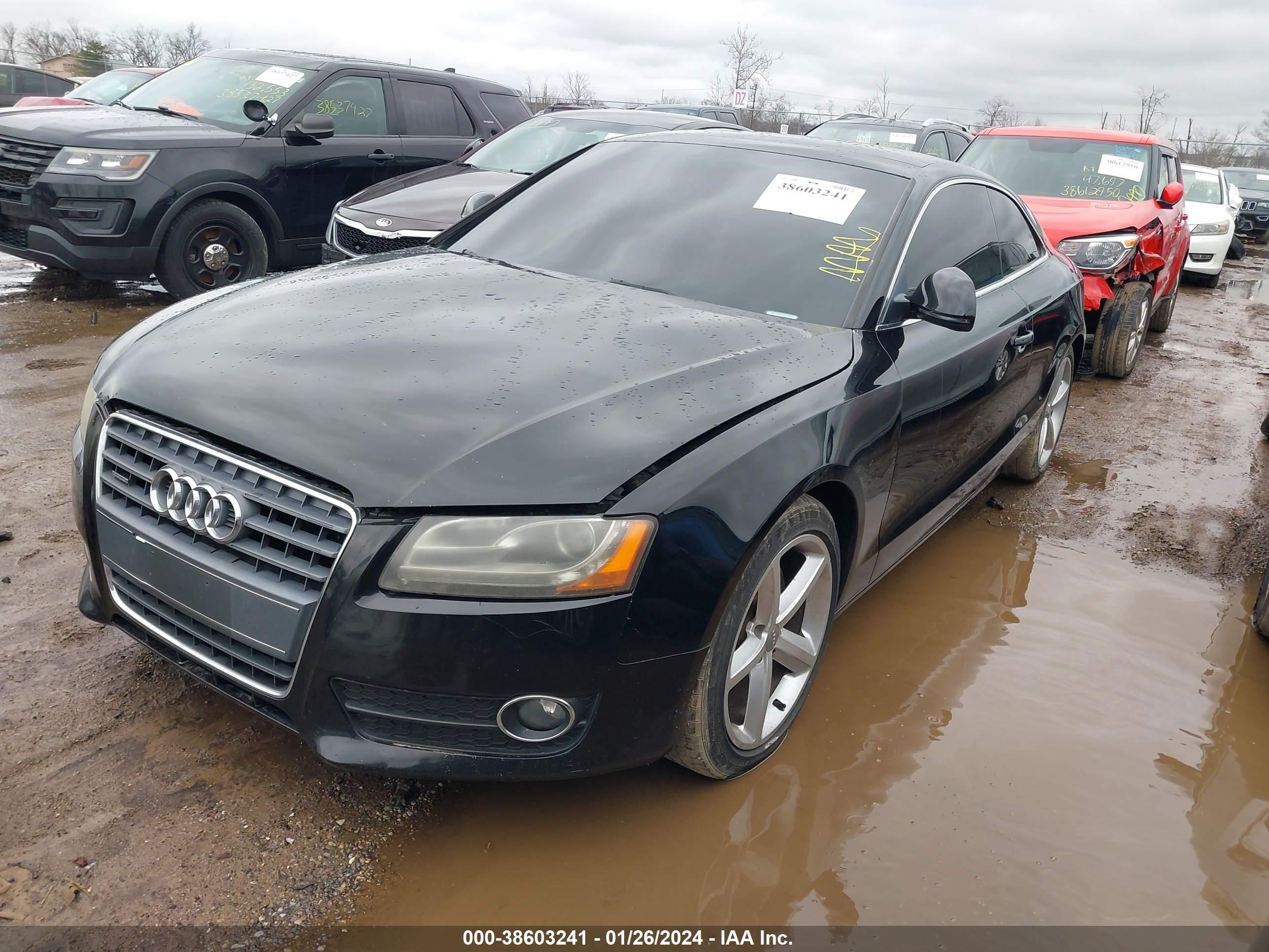 Photo 1 VIN: WAUDK78T79A013819 - AUDI A5 