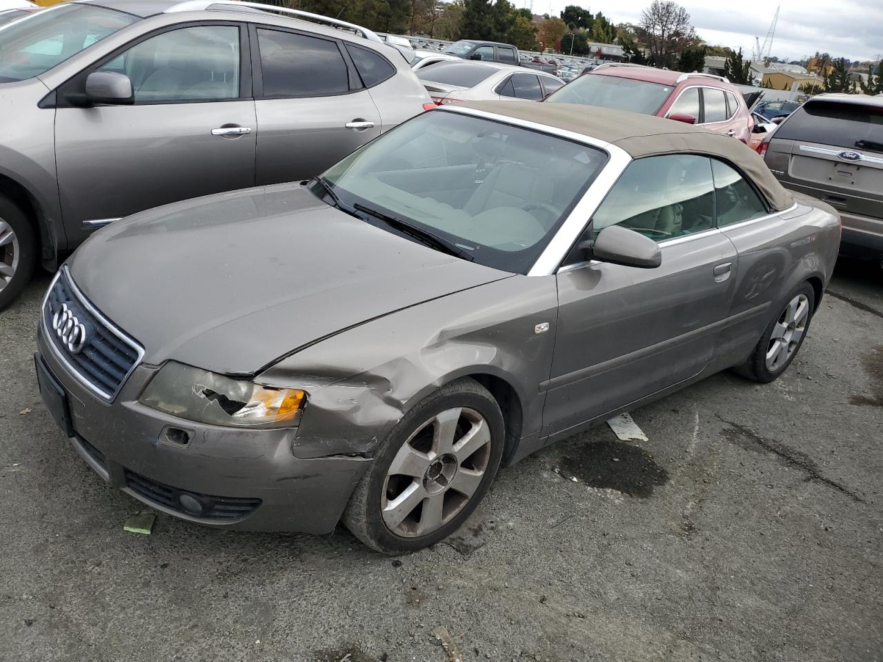 Photo 0 VIN: WAUDT48H35K022769 - AUDI A4 