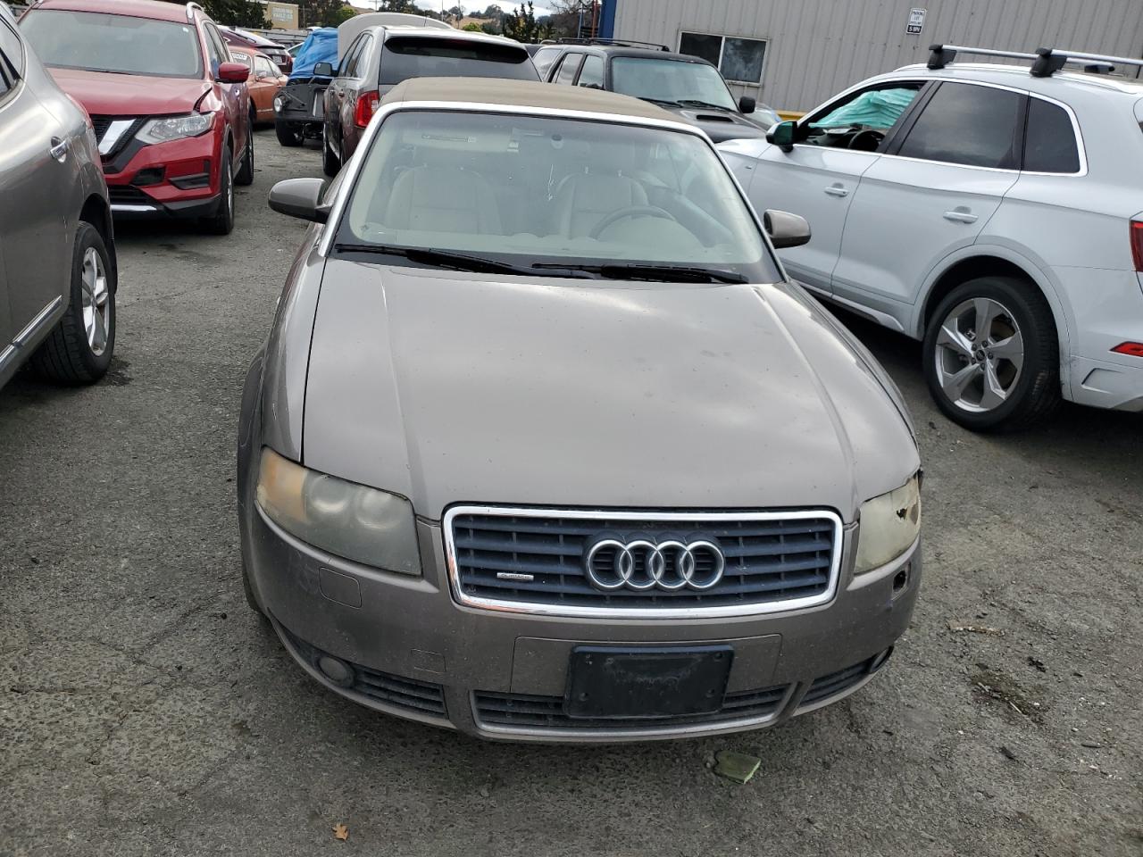 Photo 4 VIN: WAUDT48H35K022769 - AUDI A4 