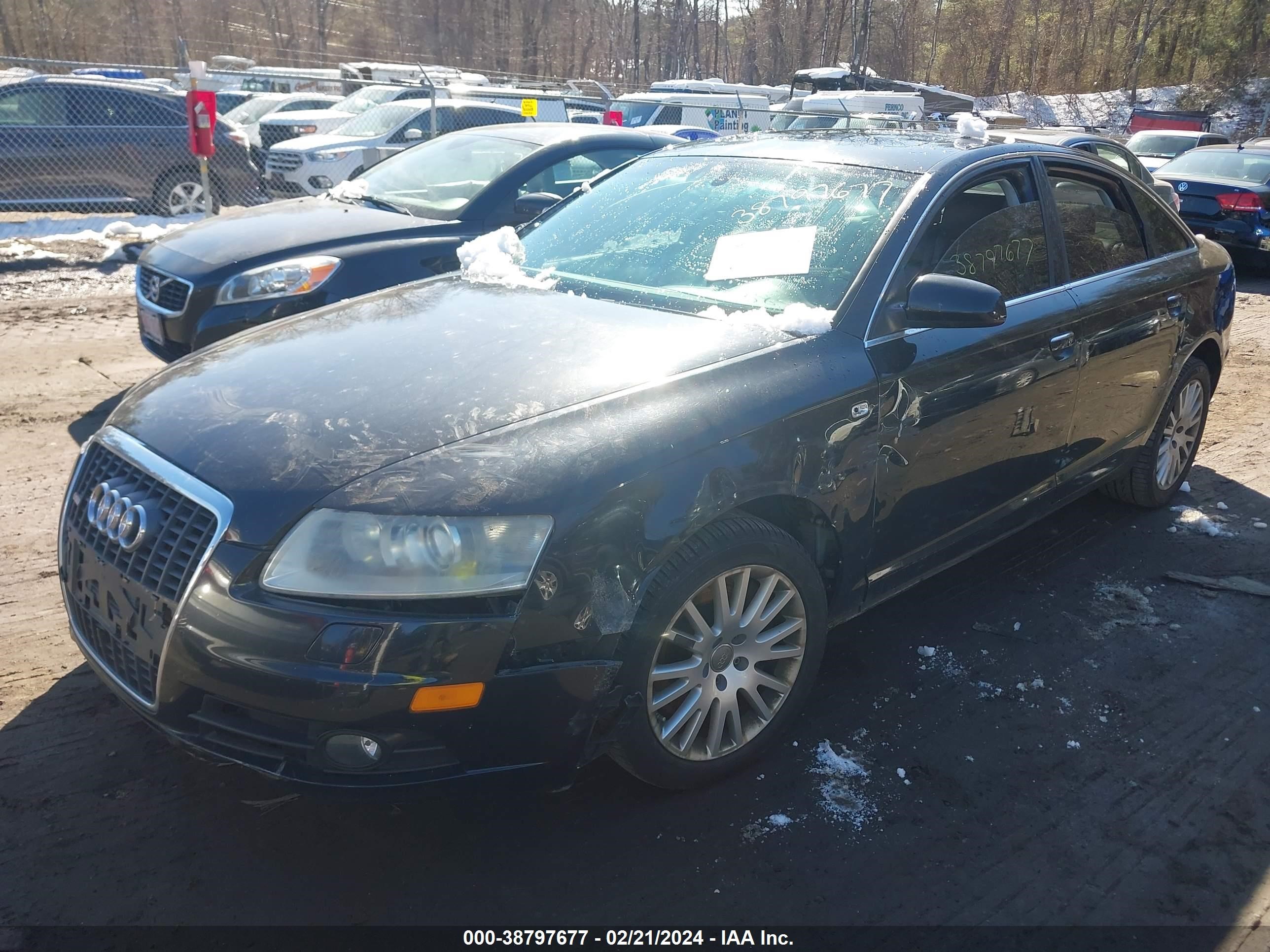 Photo 1 VIN: WAUDV74F08N025874 - AUDI A6 