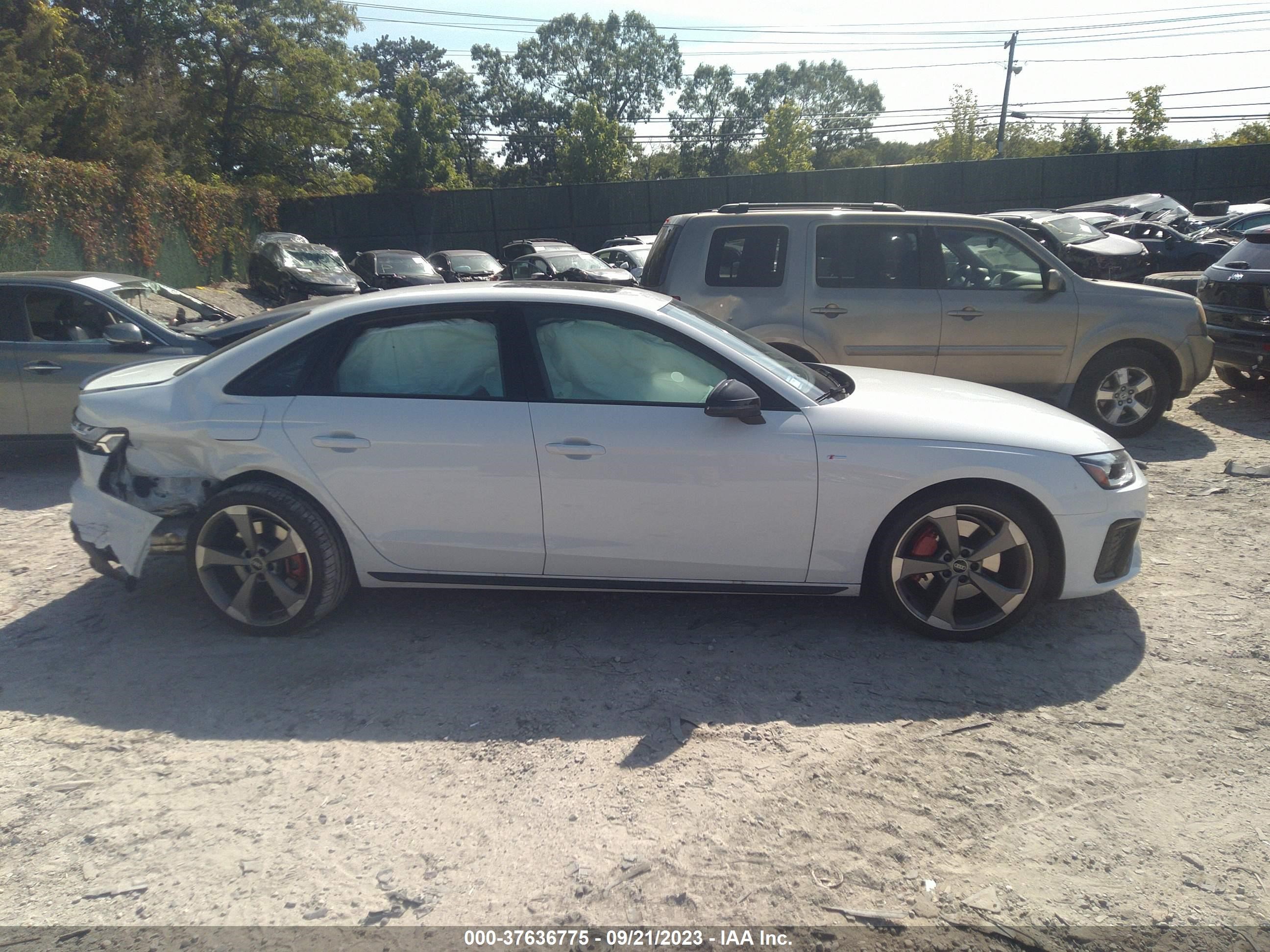 Photo 12 VIN: WAUEAAF47PA025224 - AUDI A4 