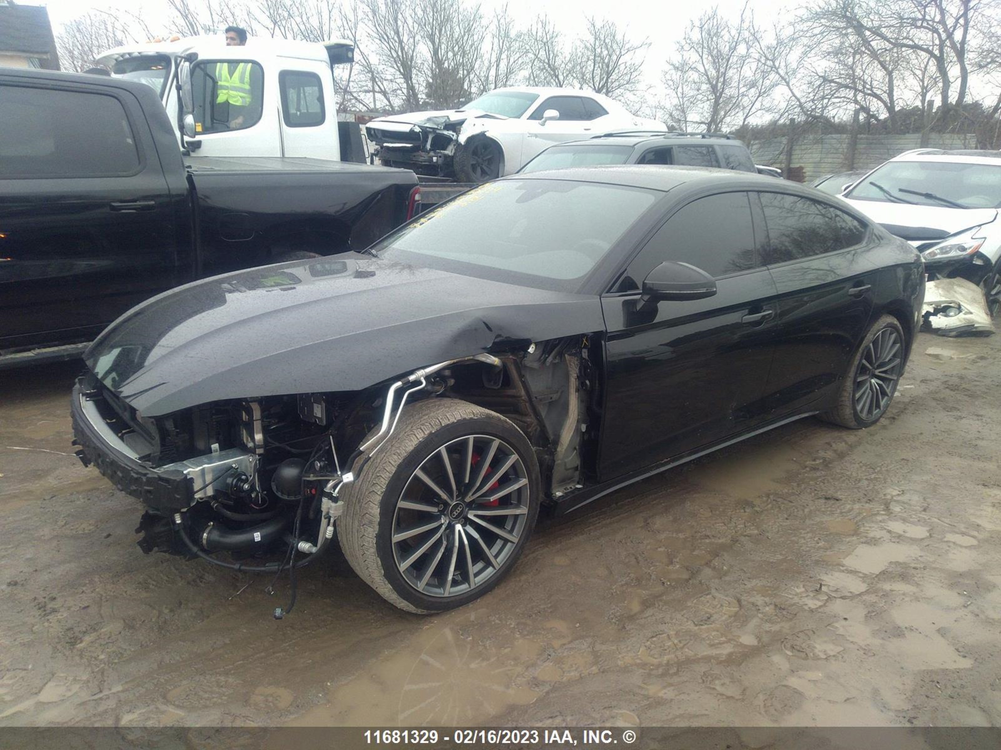 Photo 1 VIN: WAUEACF59PA007781 - AUDI A5 