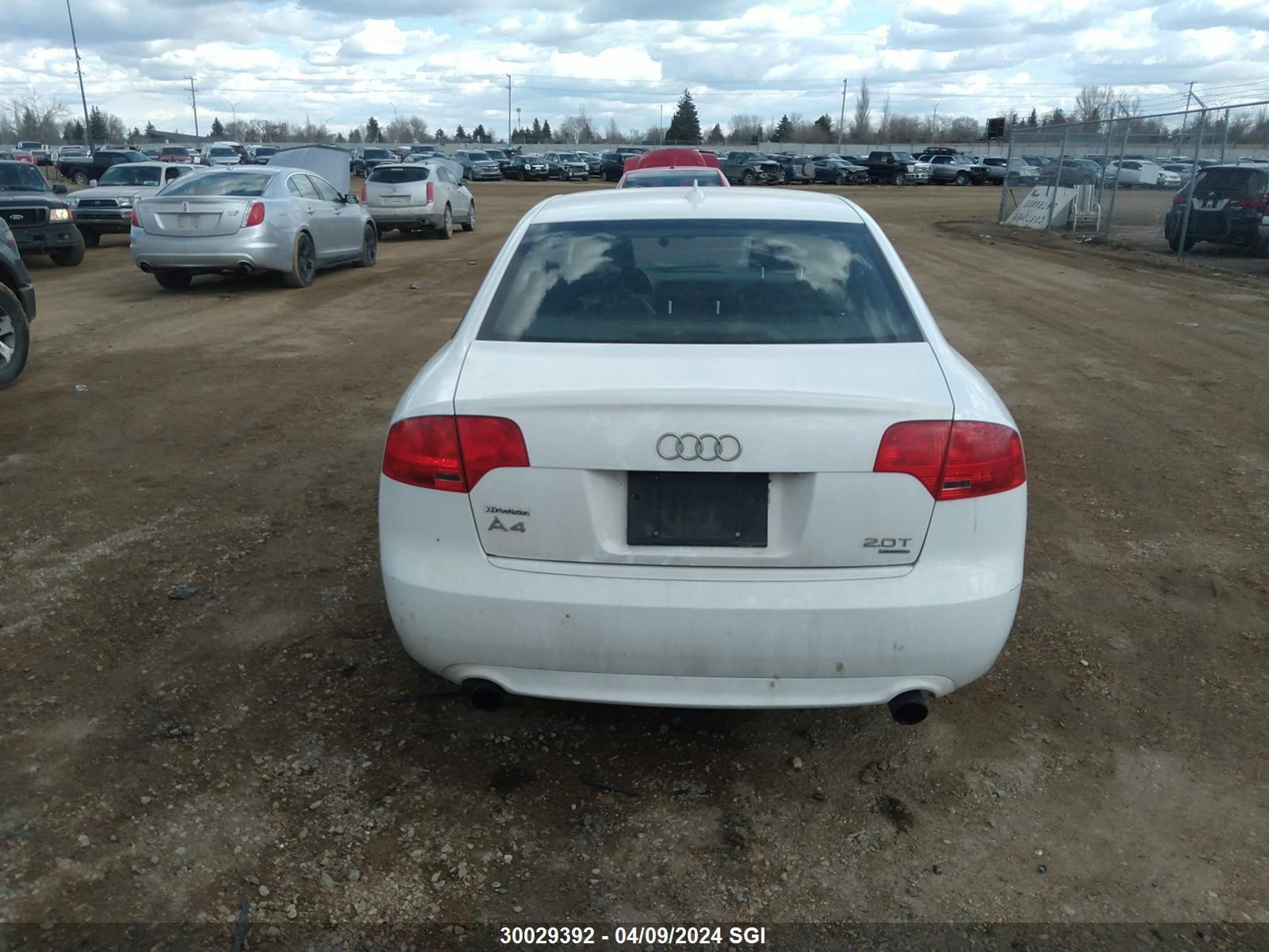 Photo 14 VIN: WAUEF68E58A130043 - AUDI A4 