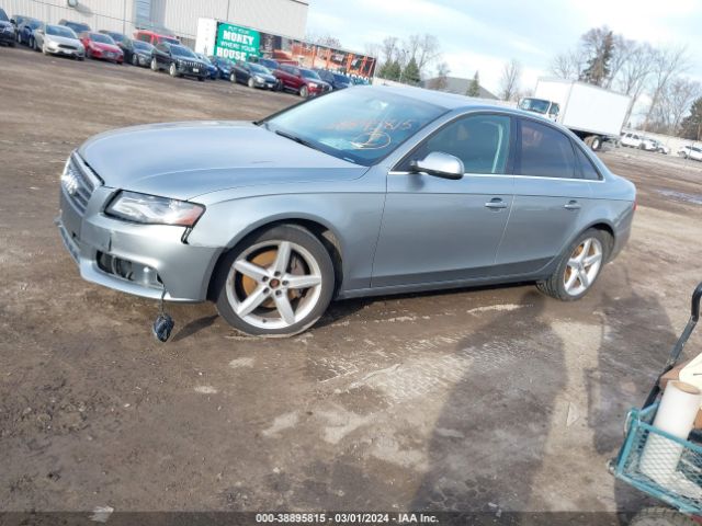 Photo 1 VIN: WAUEFAFL0BN000319 - AUDI A4 