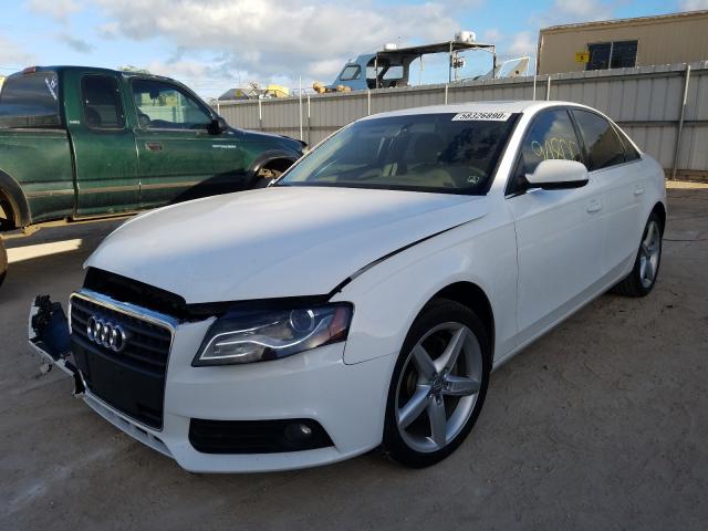 Photo 1 VIN: WAUEFAFL0BN022806 - AUDI A4 