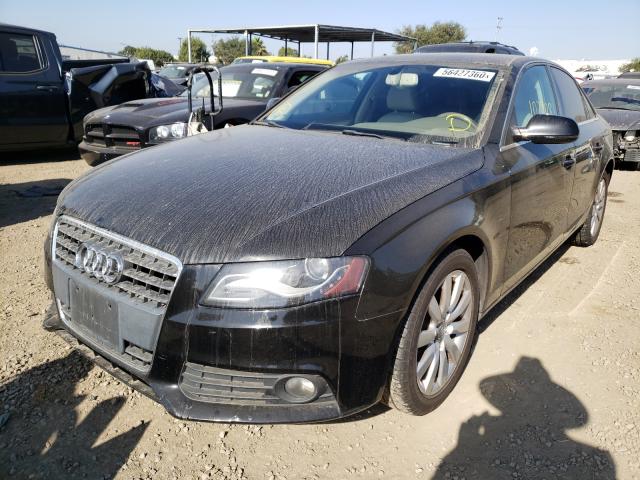 Photo 1 VIN: WAUEFAFL0BN026452 - AUDI A4 PREMIUM 