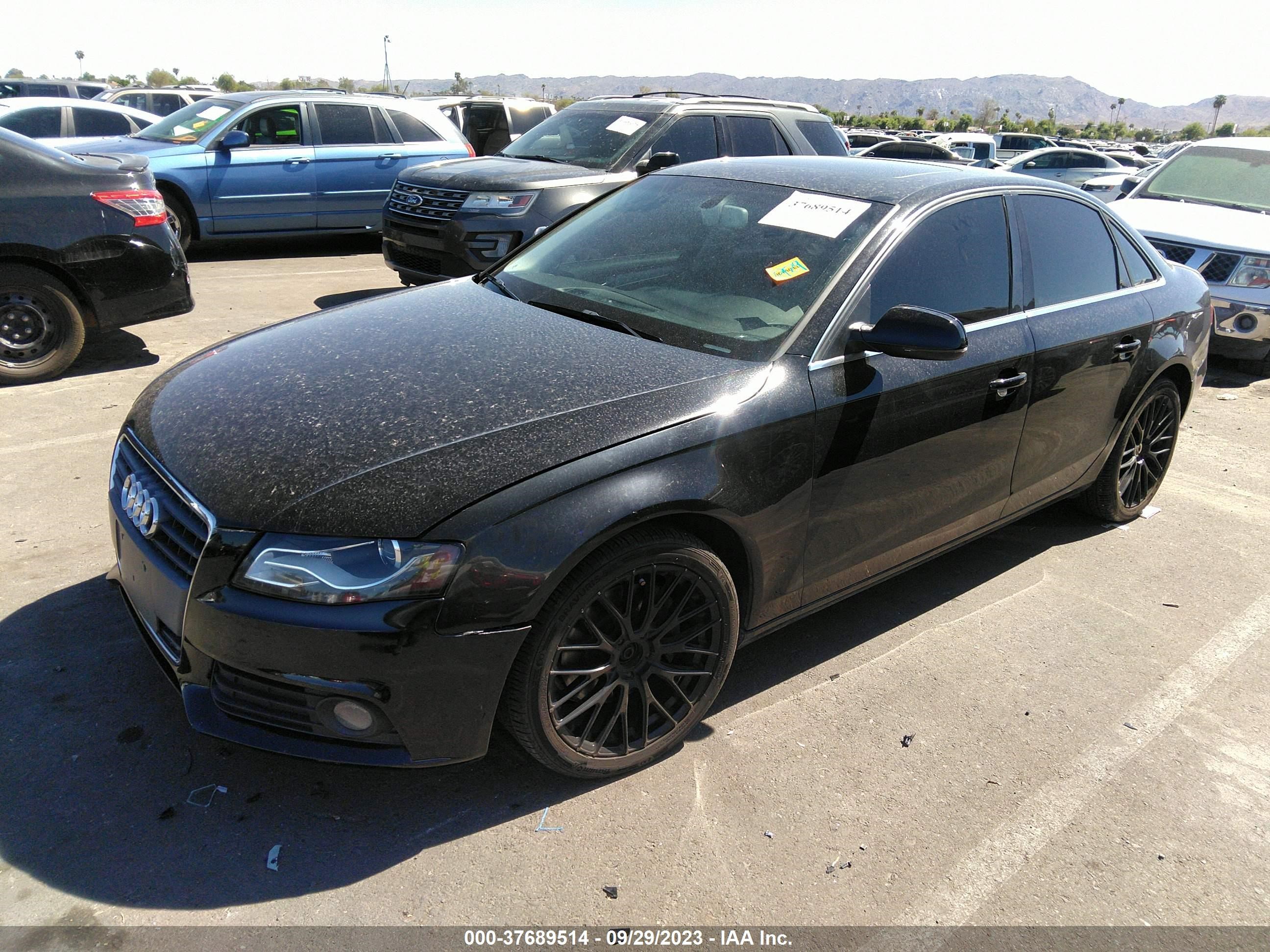 Photo 1 VIN: WAUEFAFL1BN013614 - AUDI A4 