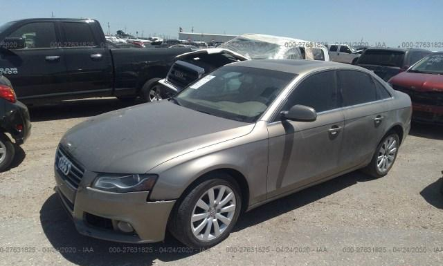 Photo 1 VIN: WAUEFAFL2AN048158 - AUDI A4 