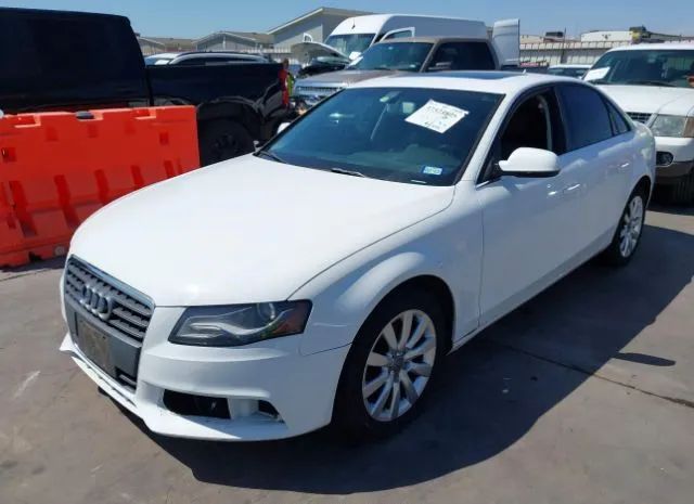 Photo 1 VIN: WAUEFAFL3AN007165 - AUDI A4 