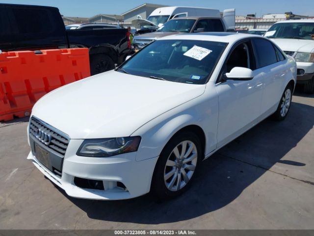 Photo 1 VIN: WAUEFAFL3AN007165 - AUDI A4 