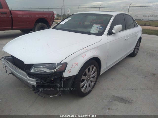 Photo 1 VIN: WAUEFAFL3BN002632 - AUDI A4 