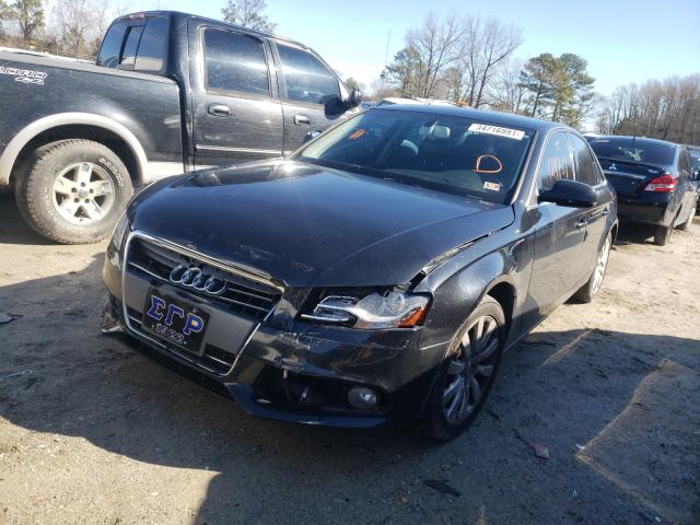 Photo 1 VIN: WAUEFAFL3BN045271 - AUDI A4 