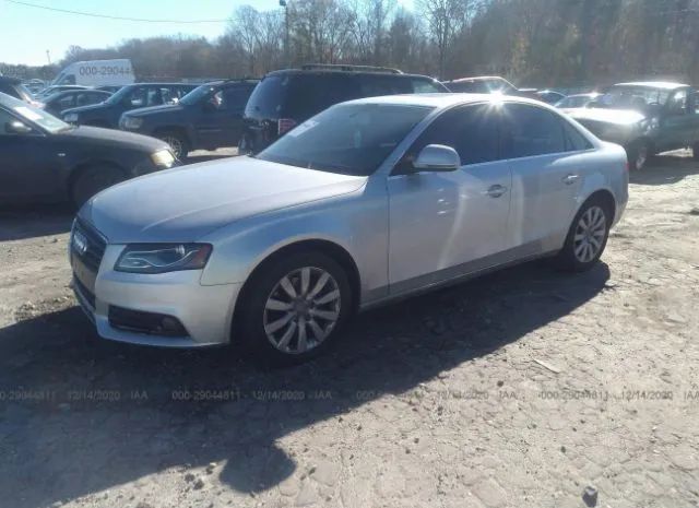 Photo 1 VIN: WAUEFAFL6BN013592 - AUDI A4 