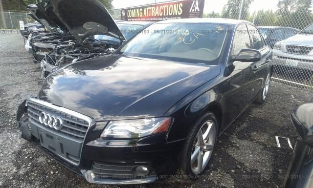 Photo 1 VIN: WAUEFAFL7AN062749 - AUDI A4 