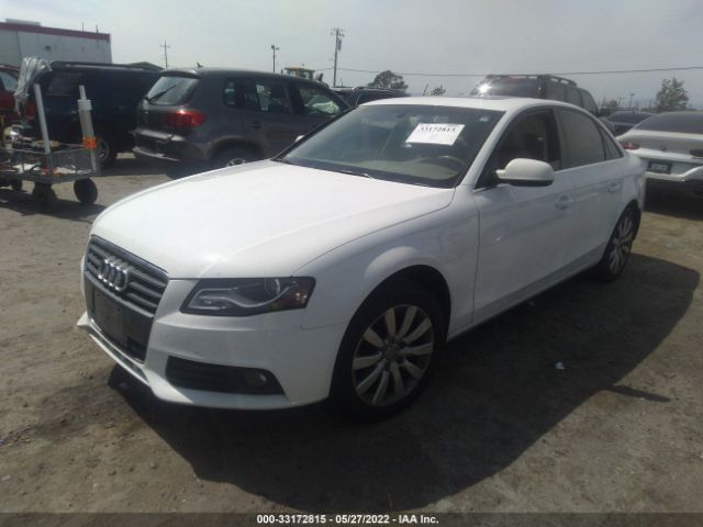 Photo 1 VIN: WAUEFAFL7BN045919 - AUDI A4 