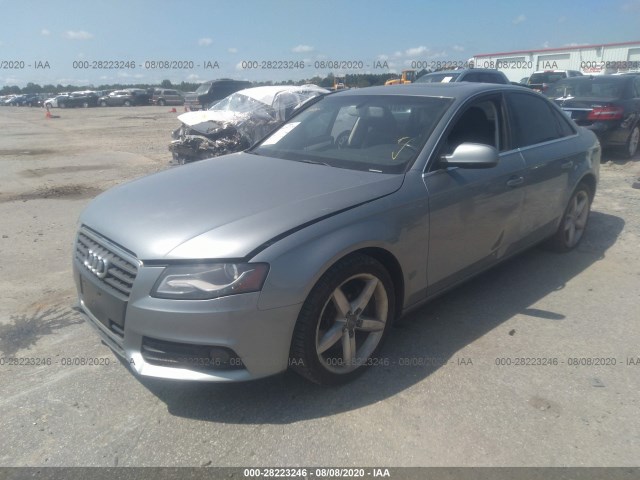 Photo 1 VIN: WAUEFAFL7BN046679 - AUDI A4 