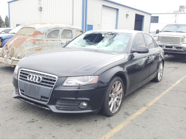 Photo 1 VIN: WAUEFAFL8BN010208 - AUDI A4 