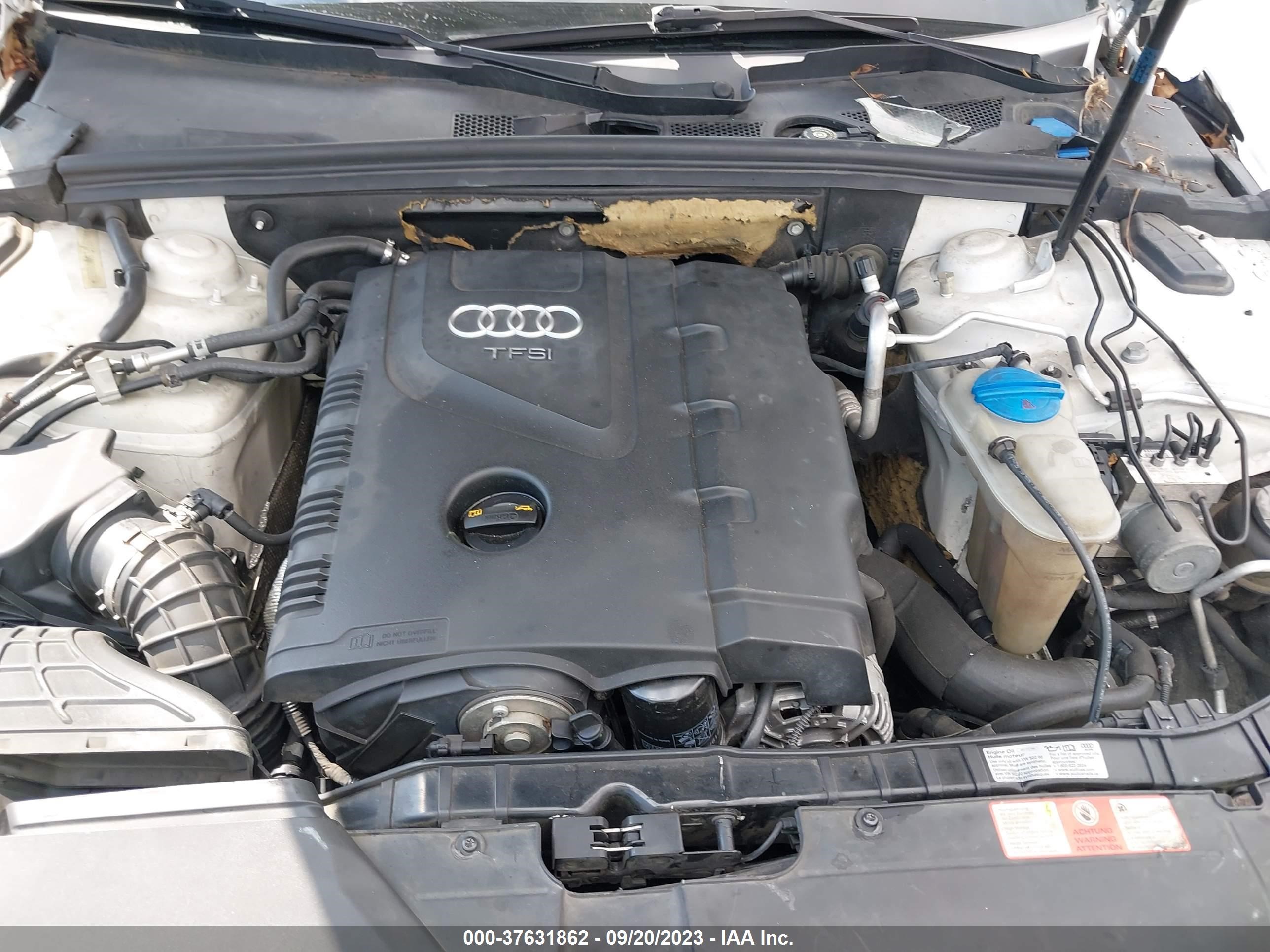 Photo 9 VIN: WAUEFAFL9AN019630 - AUDI A4 