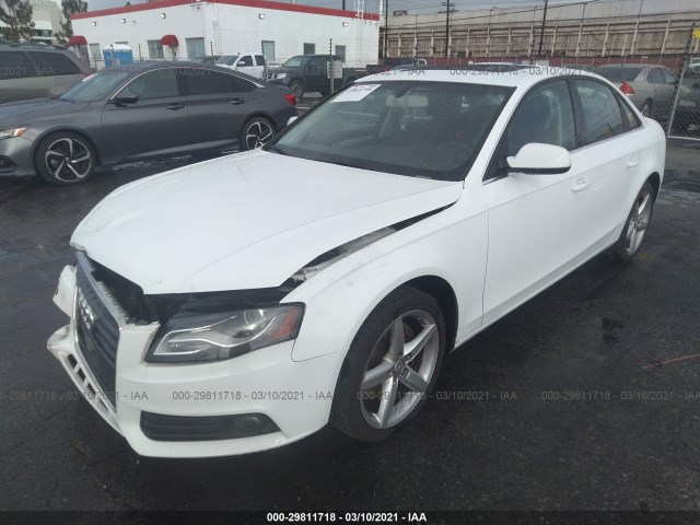 Photo 1 VIN: WAUEFAFL9AN064289 - AUDI A4 