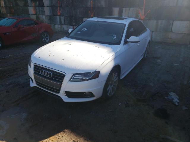 Photo 1 VIN: WAUEFAFLXCA111999 - AUDI A4 