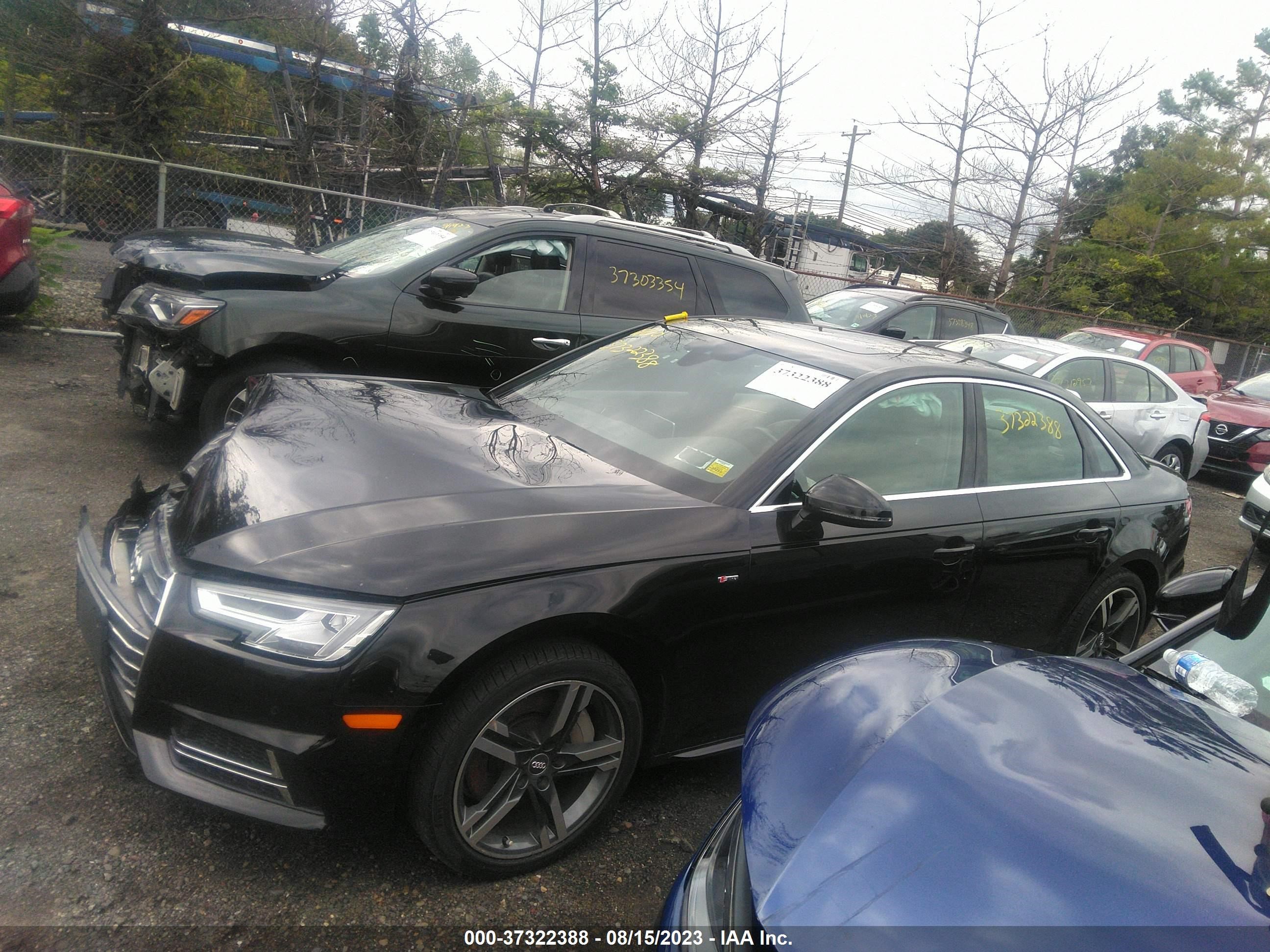 Photo 13 VIN: WAUENAF4XHN019027 - AUDI A4 