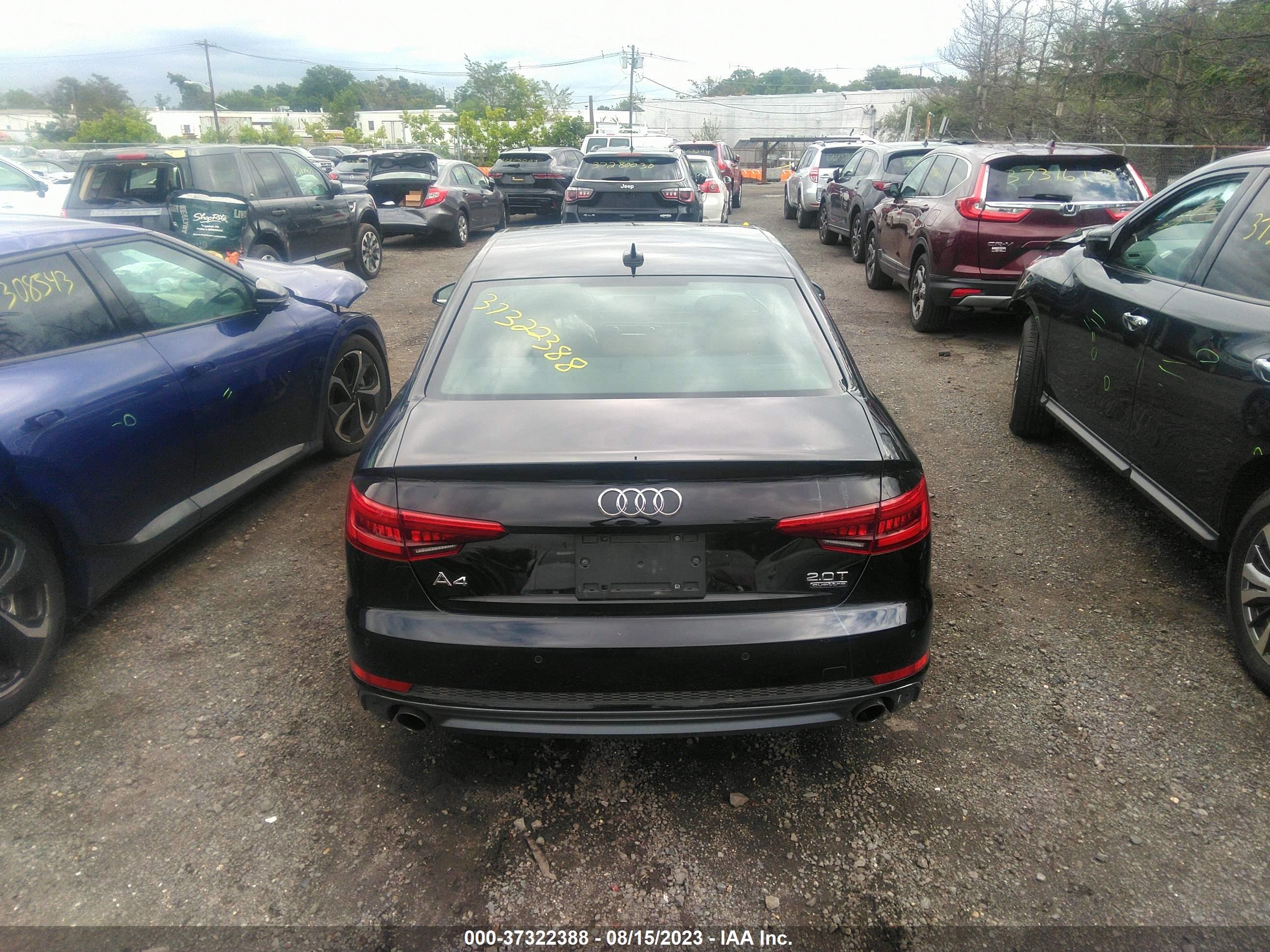 Photo 15 VIN: WAUENAF4XHN019027 - AUDI A4 