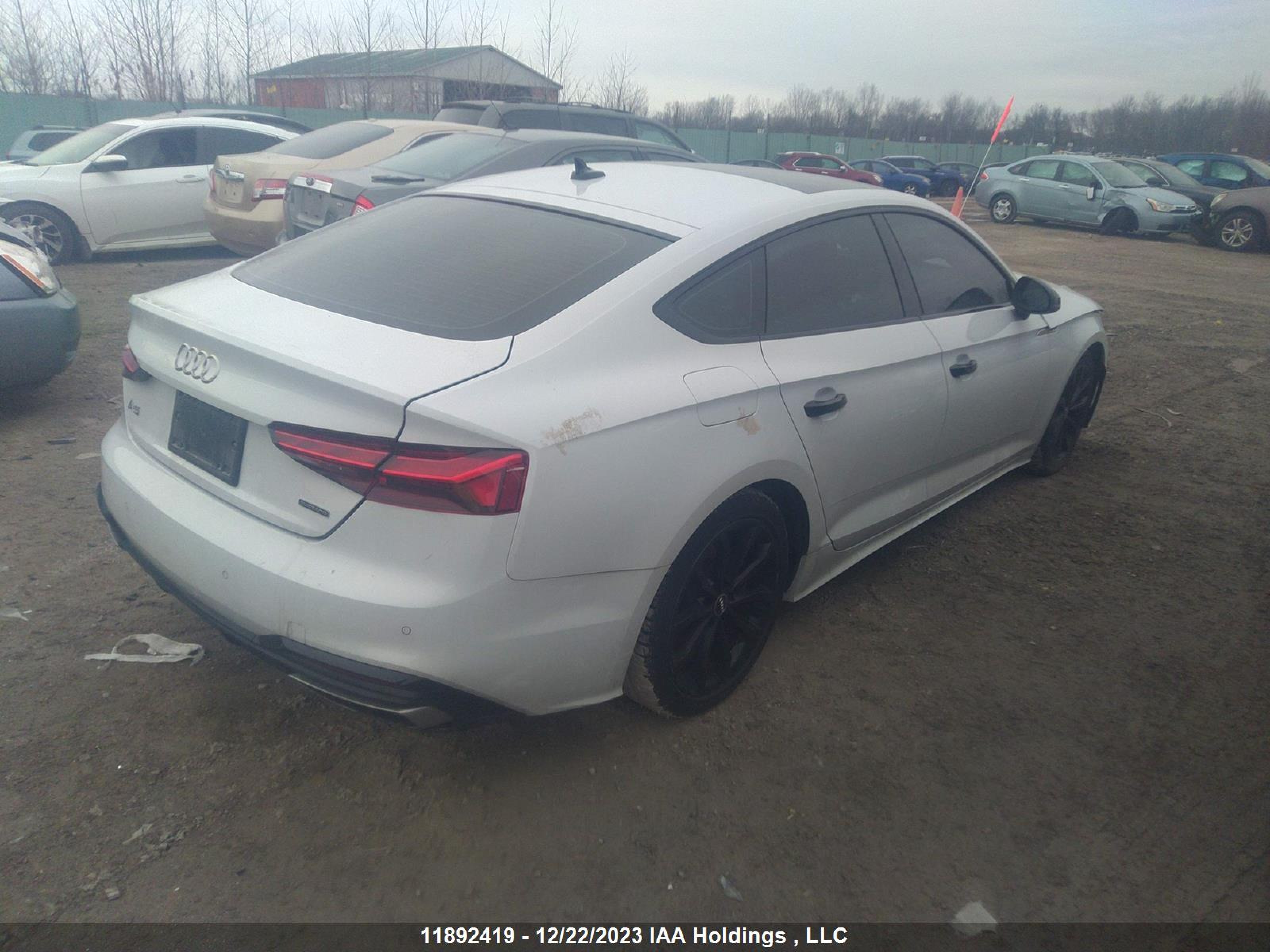 Photo 3 VIN: WAUFACF56MA041239 - AUDI A5 