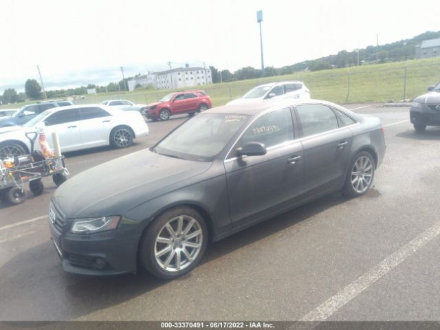 Photo 1 VIN: WAUFFAFL0AN013073 - AUDI A4 