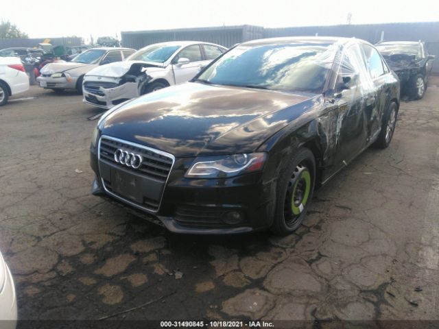 Photo 1 VIN: WAUFFAFL1AN057602 - AUDI A4 