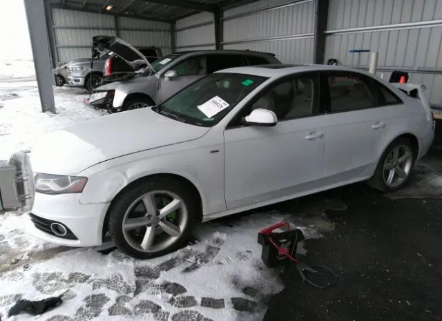 Photo 1 VIN: WAUFFAFL1CA072255 - AUDI A4 