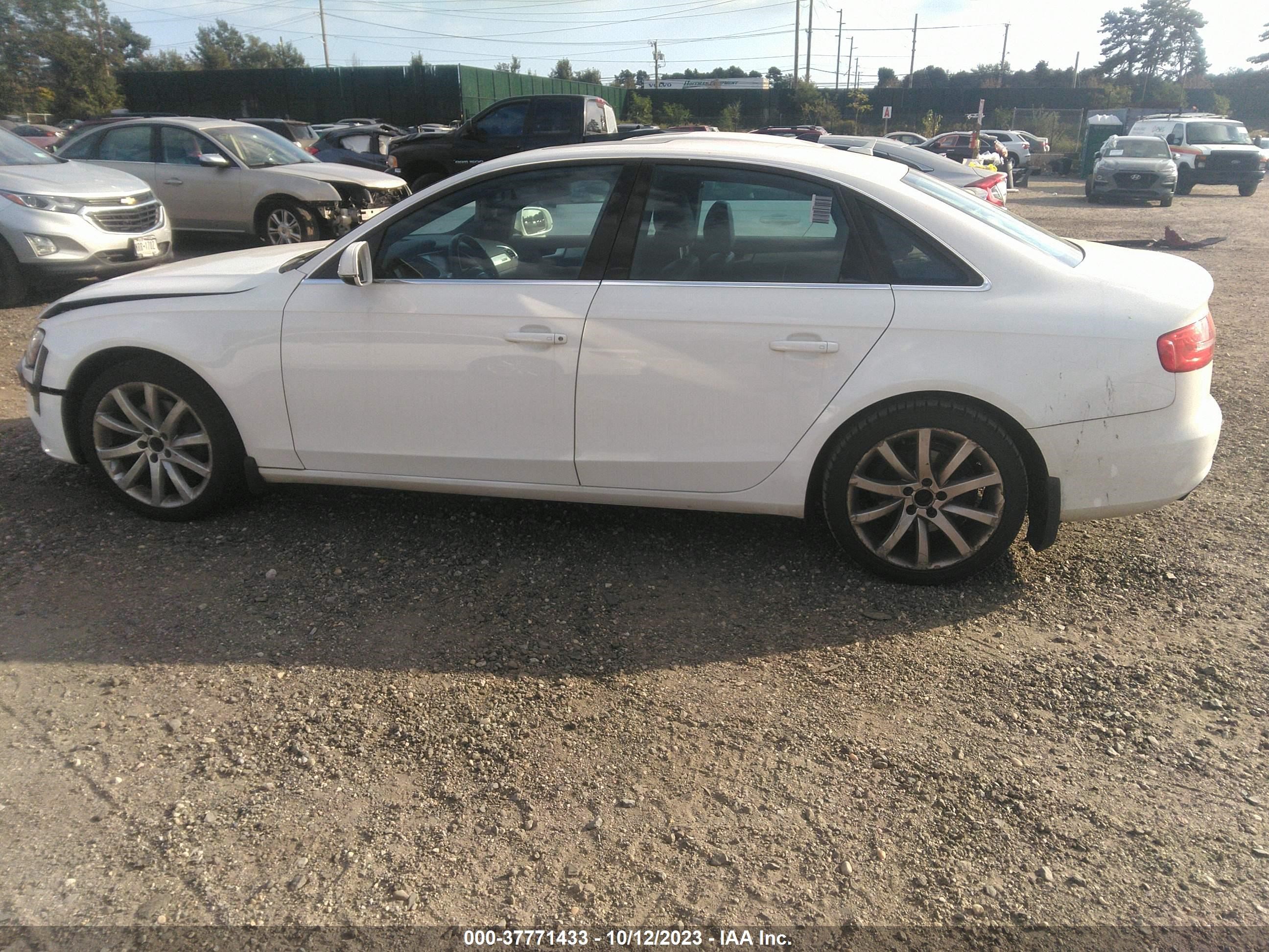 Photo 14 VIN: WAUFFAFL1DN028248 - AUDI A4 