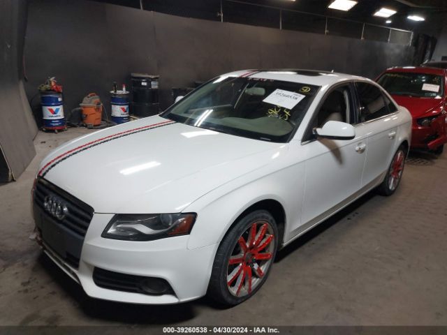 Photo 1 VIN: WAUFFAFL2AN035995 - AUDI A4 PREMIUM 