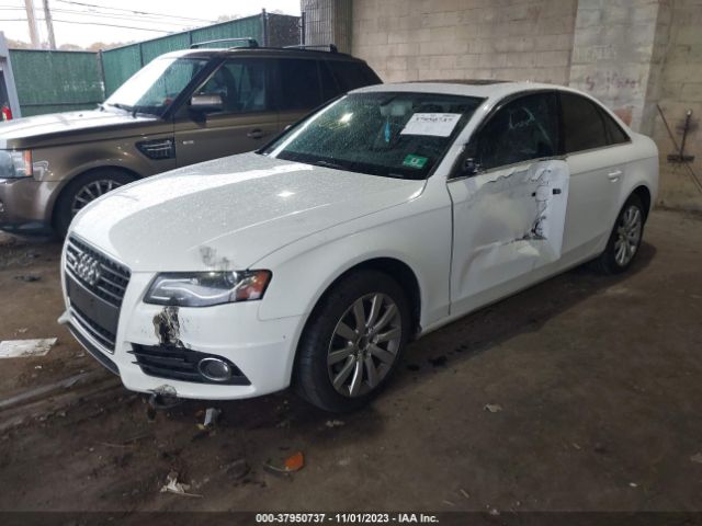 Photo 1 VIN: WAUFFAFL2AN055311 - AUDI A4 