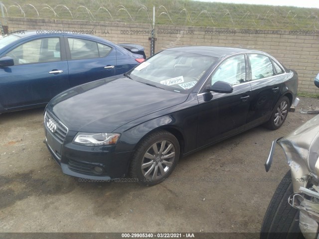 Photo 1 VIN: WAUFFAFL2BN044004 - AUDI A4 