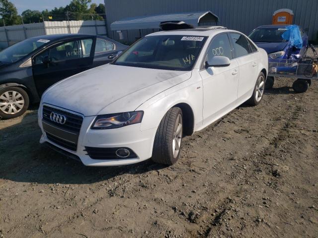 Photo 1 VIN: WAUFFAFL2CN002692 - AUDI A4 PREMIUM 