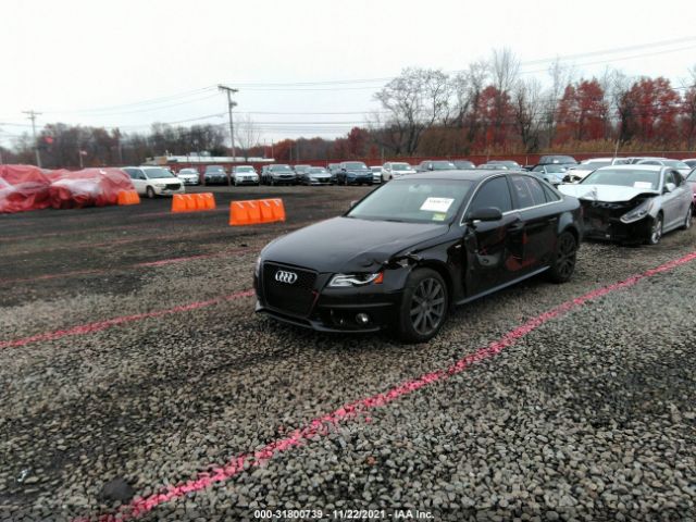 Photo 1 VIN: WAUFFAFL2CN016320 - AUDI A4 