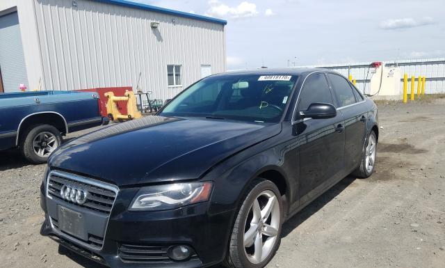 Photo 1 VIN: WAUFFAFL3AN025010 - AUDI A4 