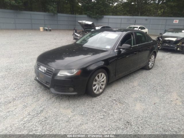 Photo 1 VIN: WAUFFAFL3BN004482 - AUDI A4 