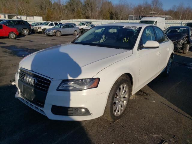 Photo 1 VIN: WAUFFAFL3BN030242 - AUDI A4 