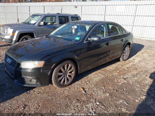 Photo 1 VIN: WAUFFAFL48N026040 - AUDI A4 QUATTRO AWD 