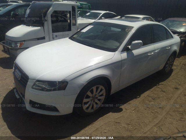 Photo 1 VIN: WAUFFAFL4AN016929 - AUDI A4 