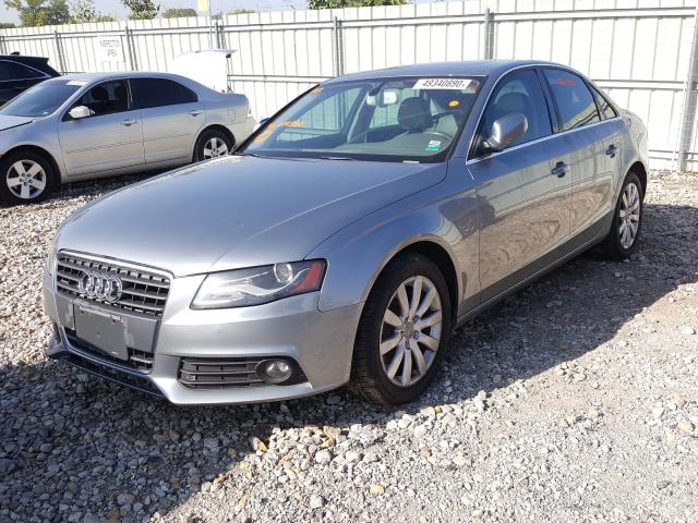 Photo 1 VIN: WAUFFAFL4BN014566 - AUDI A4 