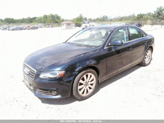 Photo 1 VIN: WAUFFAFL5AN016034 - AUDI A4 