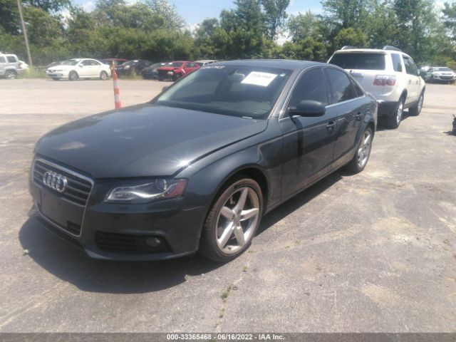 Photo 1 VIN: WAUFFAFL5BA097755 - AUDI A4 