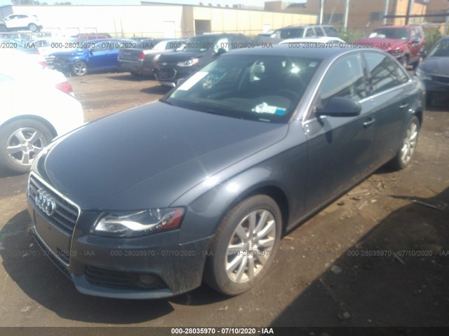 Photo 1 VIN: WAUFFAFL5BN004239 - AUDI A4 