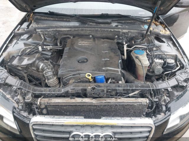 Photo 9 VIN: WAUFFAFL5BN004385 - AUDI A4 