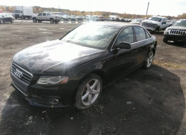 Photo 1 VIN: WAUFFAFL5BN036012 - AUDI A4 