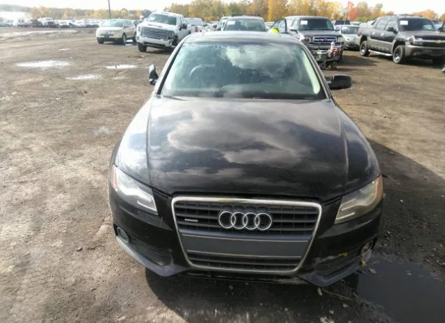 Photo 5 VIN: WAUFFAFL5BN036012 - AUDI A4 