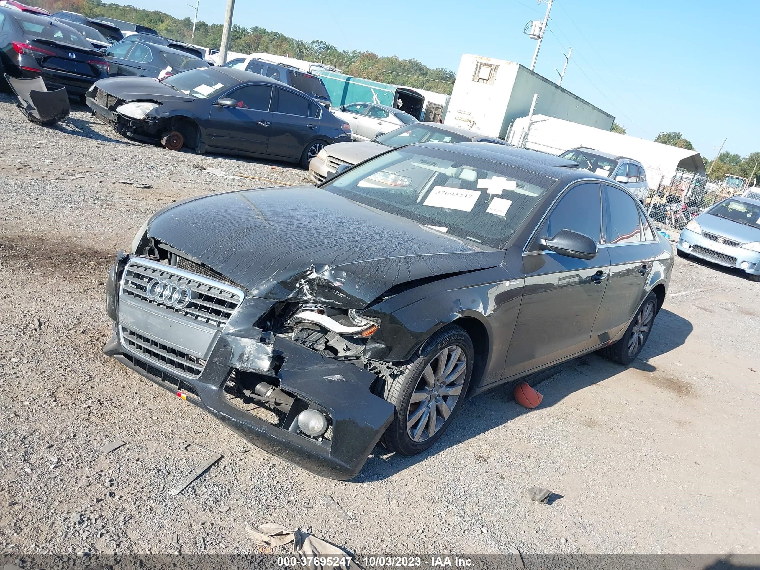 Photo 1 VIN: WAUFFAFL6AN020481 - AUDI A4 